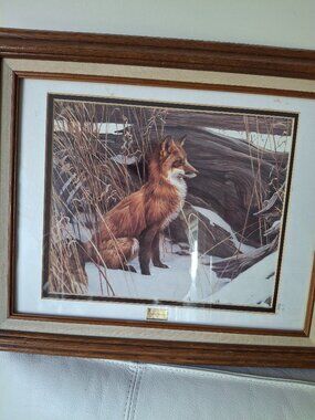 Robert Bateman fox print